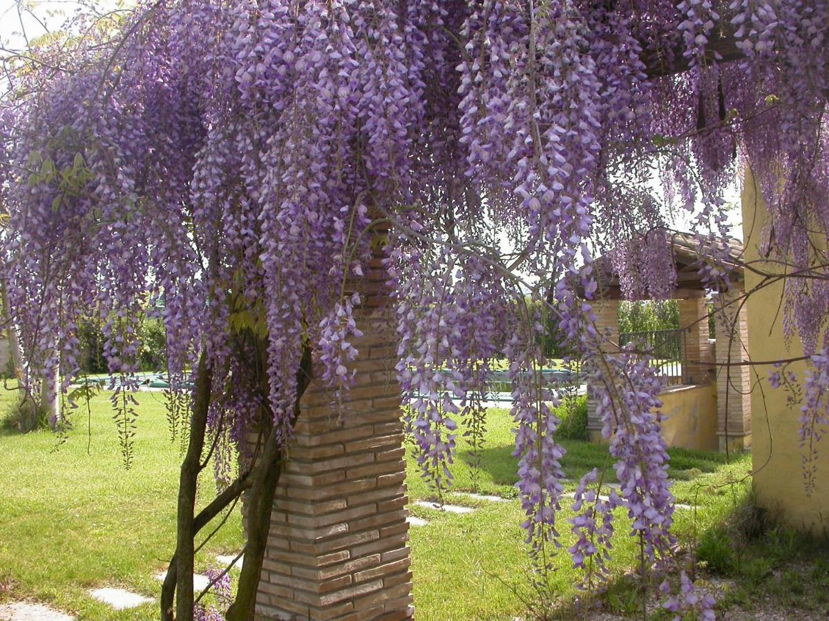 Casavacanze Sant'Eugenia アッティリアーノ エクステリア 写真