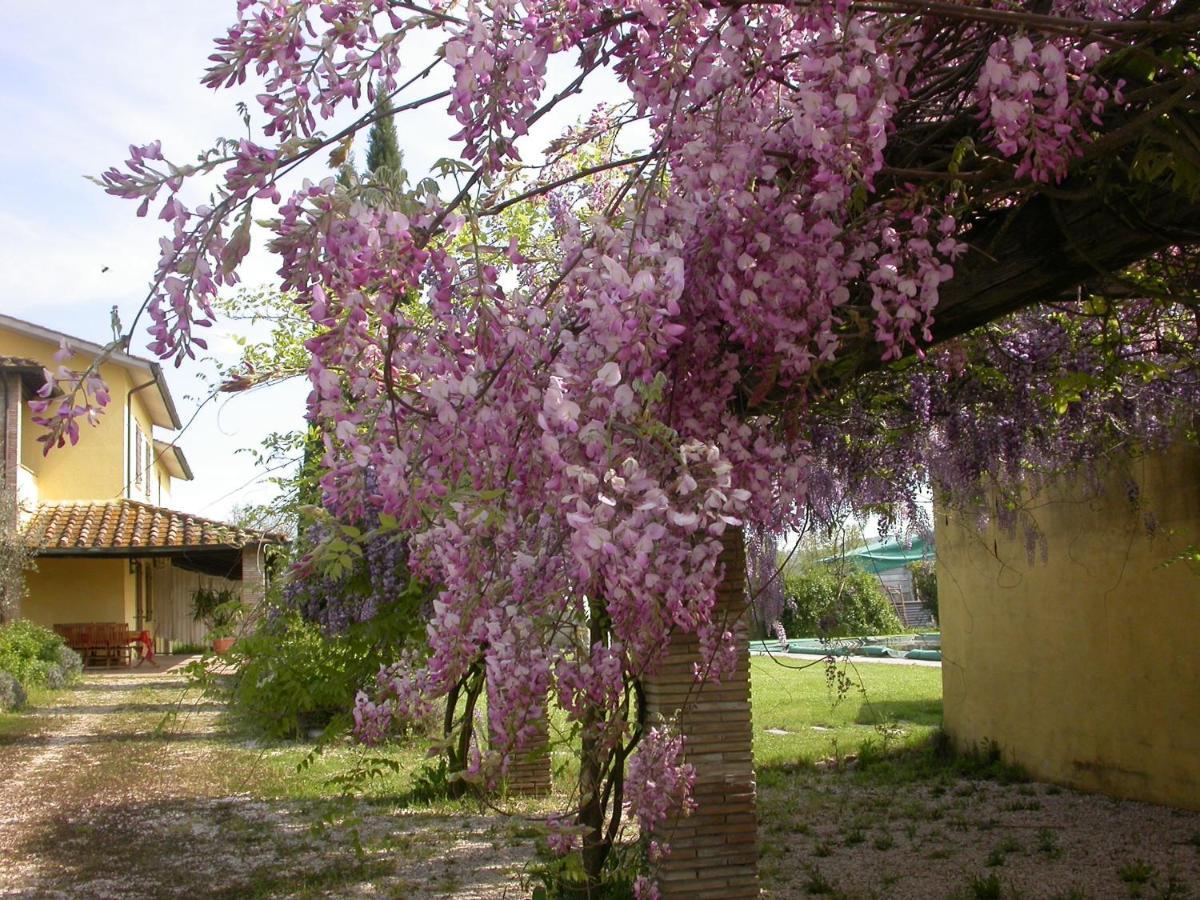 Casavacanze Sant'Eugenia アッティリアーノ エクステリア 写真