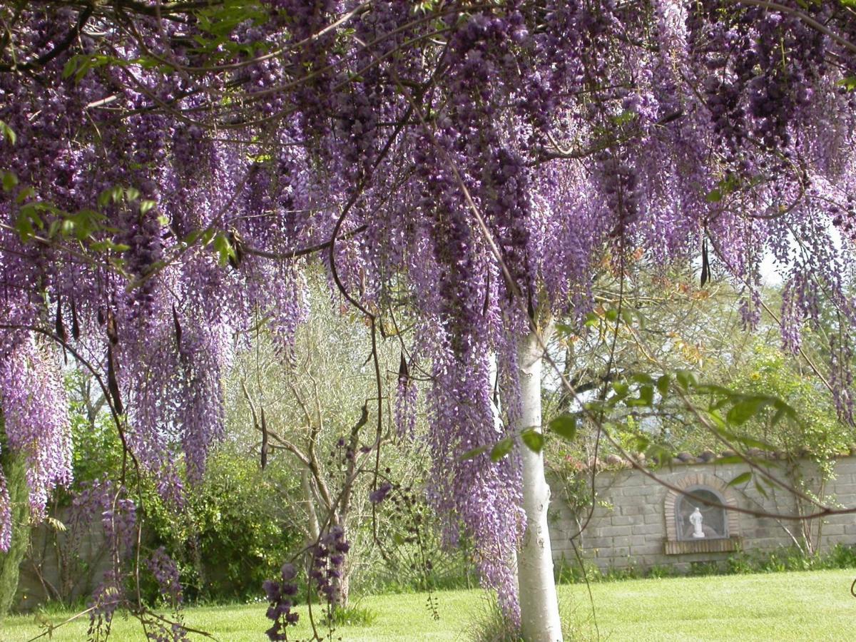 Casavacanze Sant'Eugenia アッティリアーノ エクステリア 写真